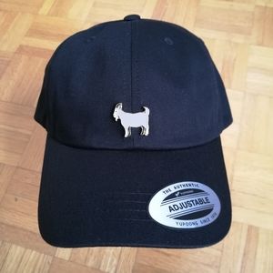 Customized The GOAT Pin Dad Hat NWT